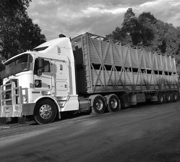 Livestock and Container Truck Assessment